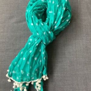 Ann Taylor Scarf